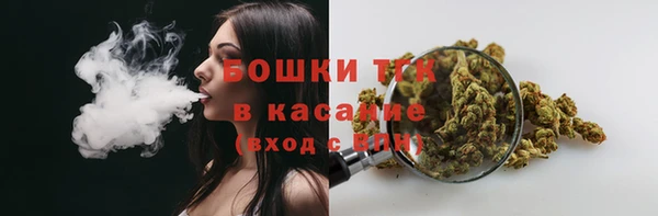 прущий лед Абаза