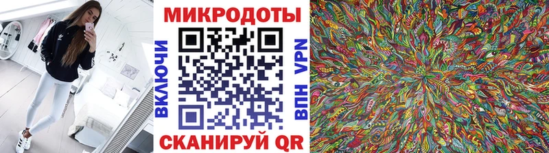 Галлюциногенные грибы Psilocybe  купить закладку  Северодвинск 